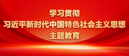 大肉棒插进阴道视频学习贯彻习近平新时代中国特色社会主义思想主题教育_fororder_ad-371X160(2)